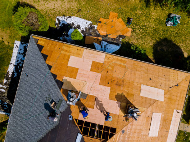 Best Roof Maintenance Services  in Welby, CO