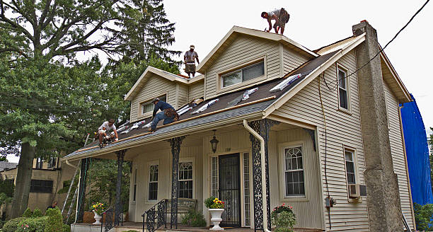 Best Roof Leak Repair  in Welby, CO